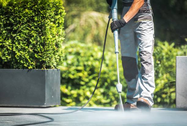 Best Dumpster Area Cleaning  in Billington Heights, NY