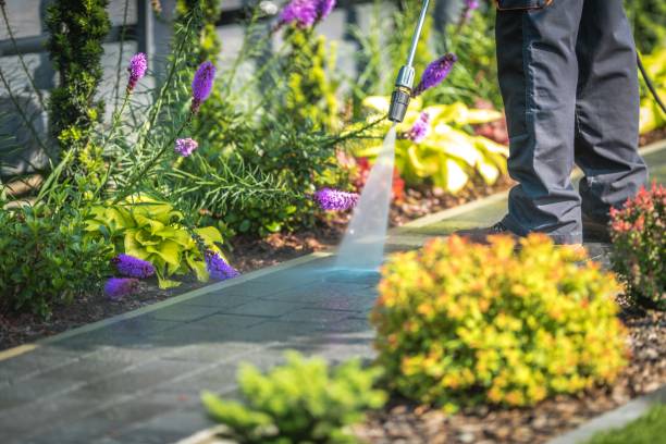 Professional Pressure Washing Services in Billington Heights, NY